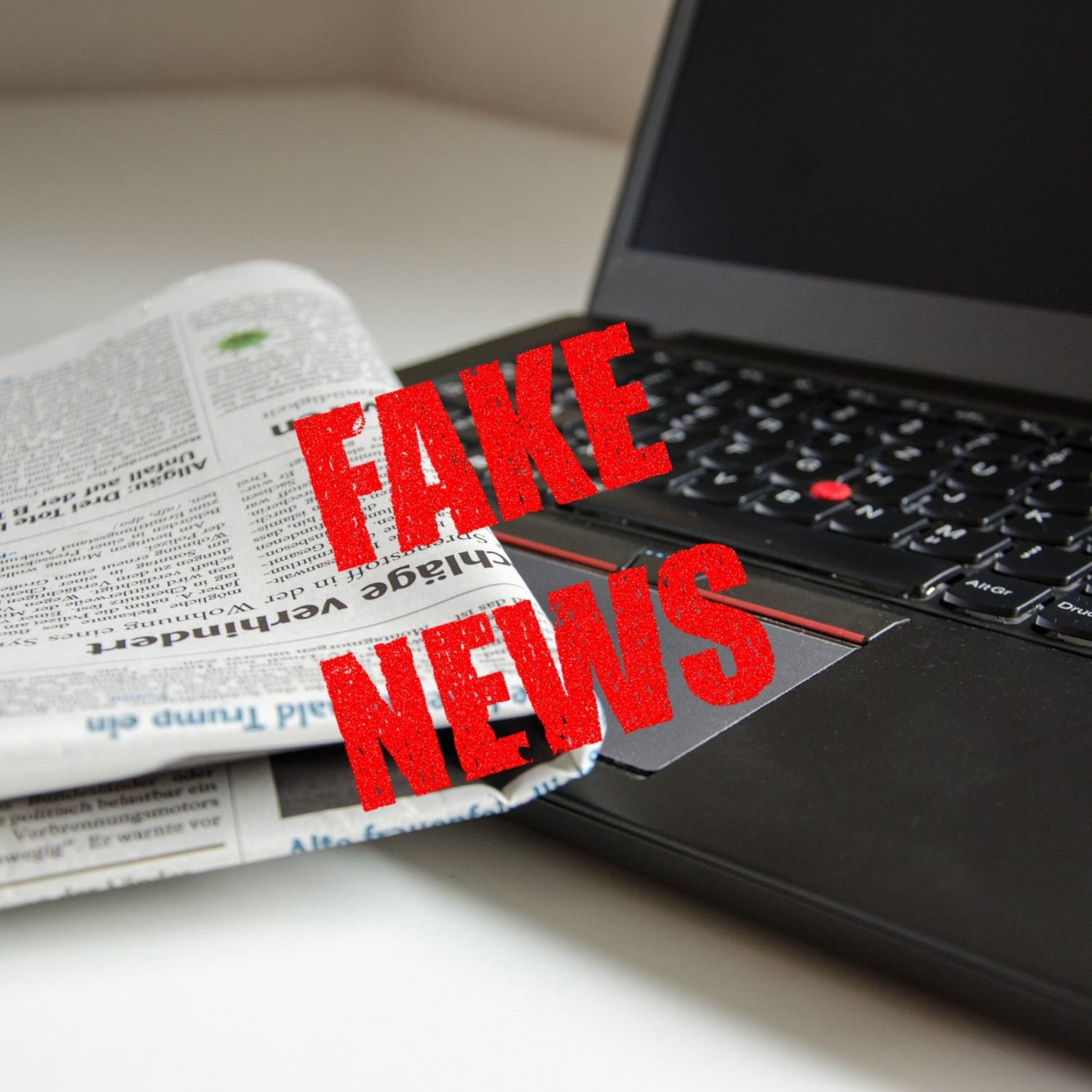 FAKE NEWS: IS THERE ROOM FOR PUNITIVE DAMAGES? - Lear